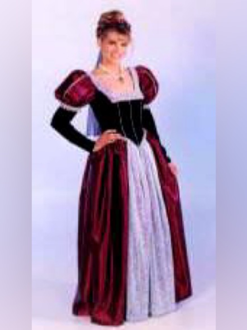 Vintage Secrets Renaissance Medieval Princess Gown S Costume Dress